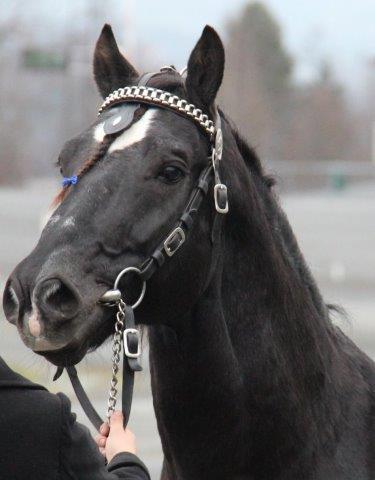 OPPDATERT INFORMASJON