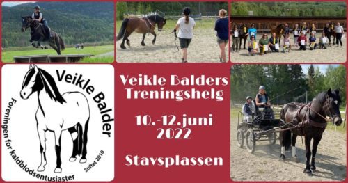 Veikle Balders Treningshelg 2022!