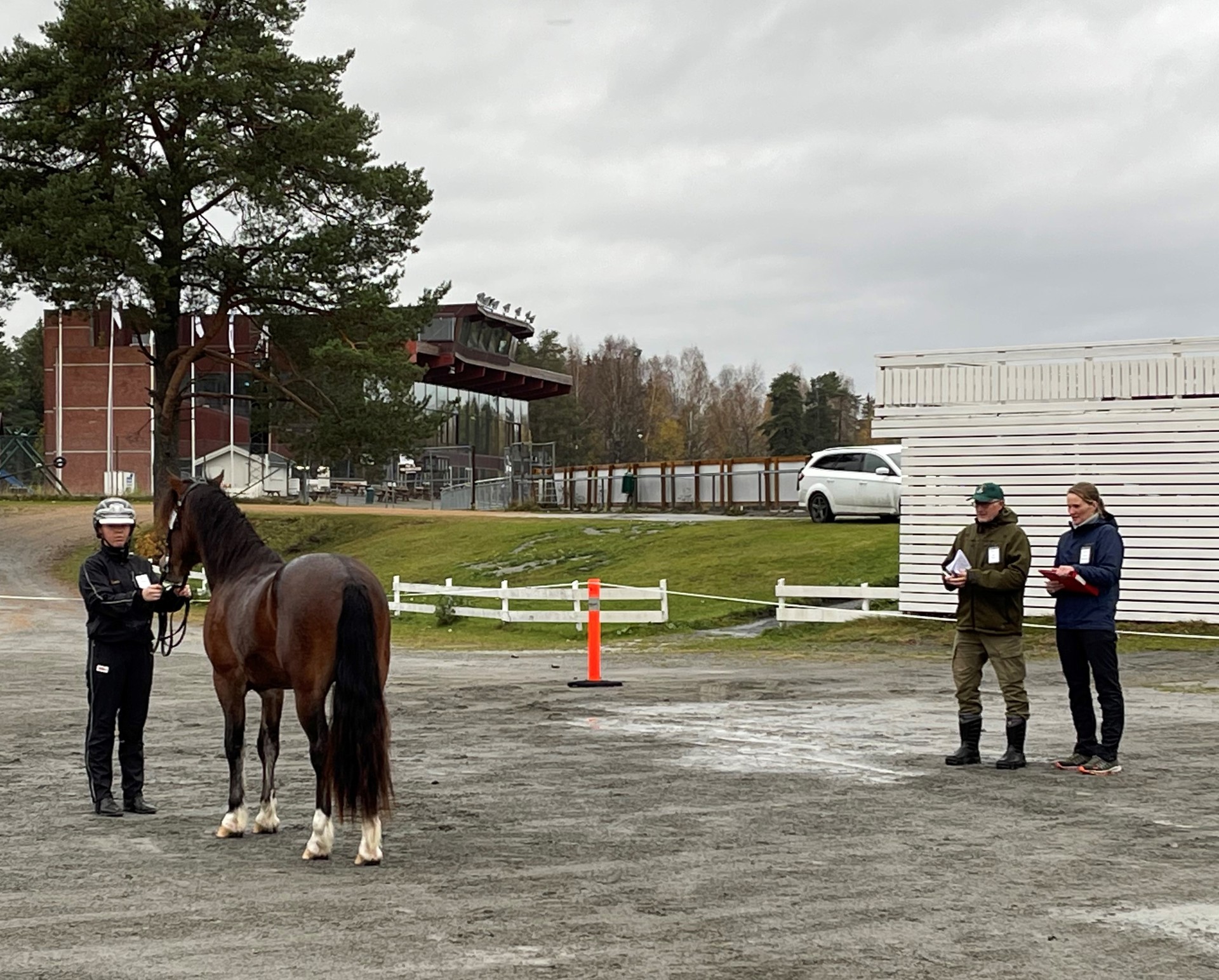 Oppdatert -  Veikle Balders Landsfinale 2022