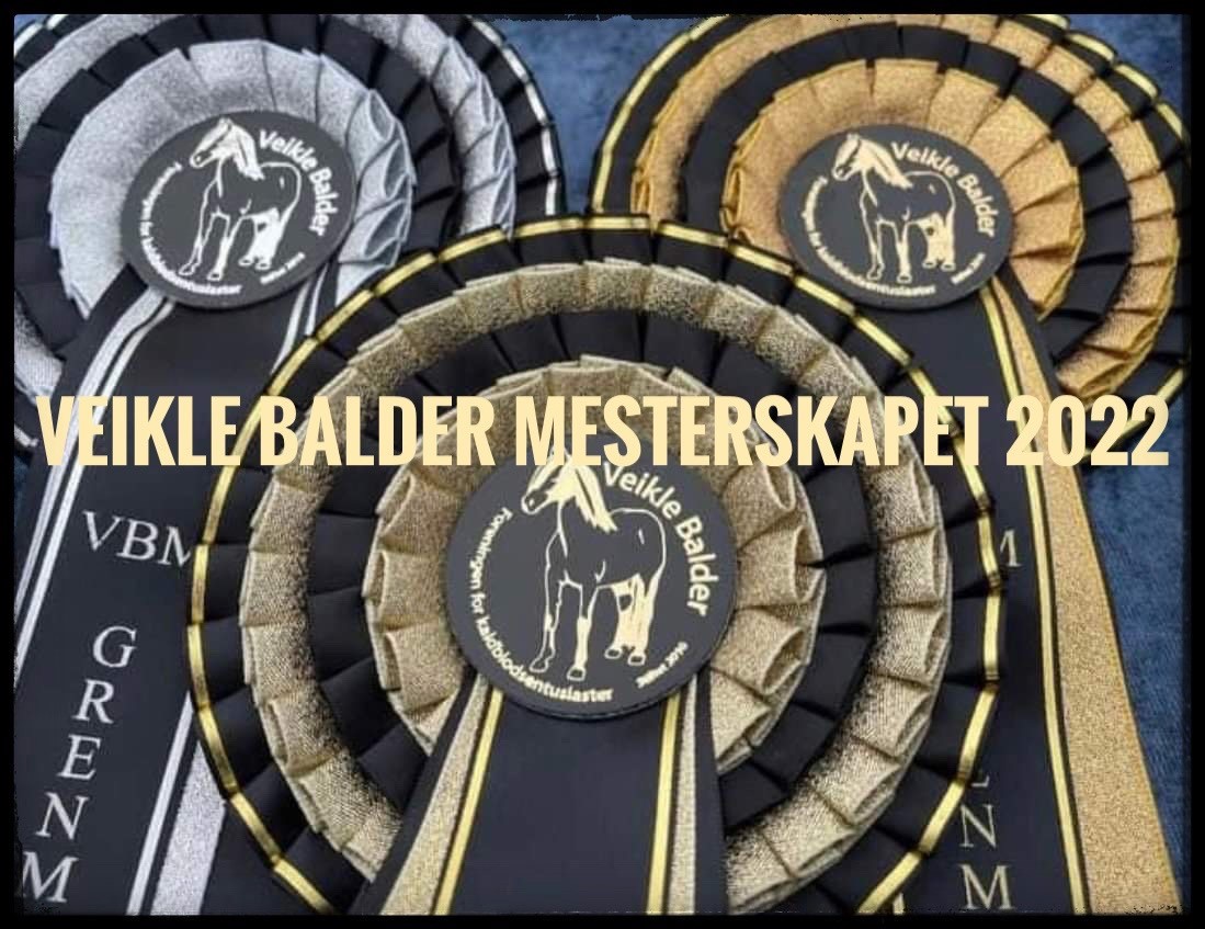 Veikle Balder Mesterskapet 2022