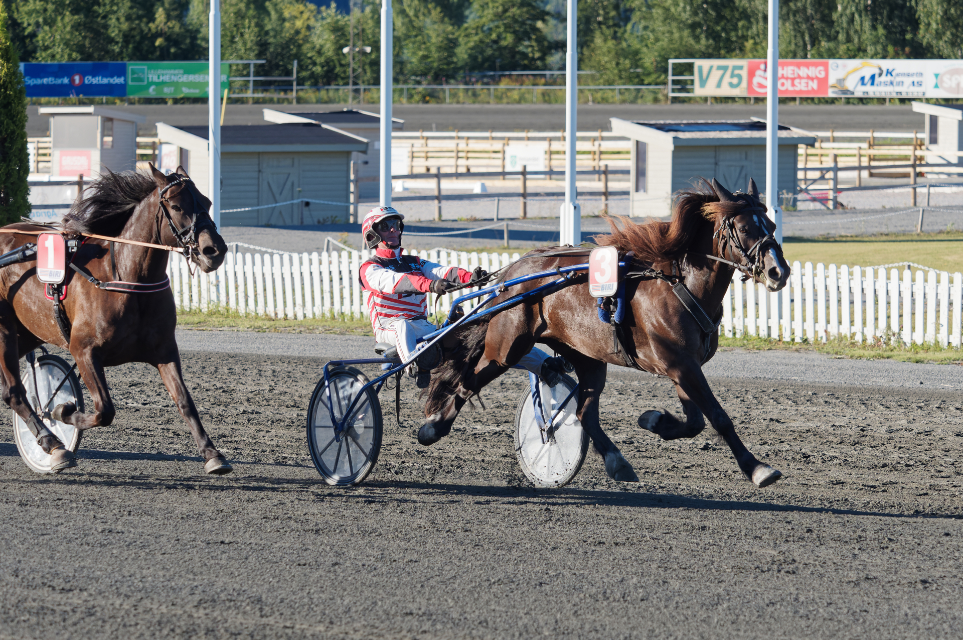 Velkommen til finalen, Kringlers Oda! 