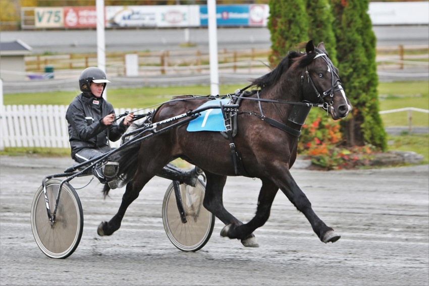 Anna Nyborg leder de unges amatørtrenercup