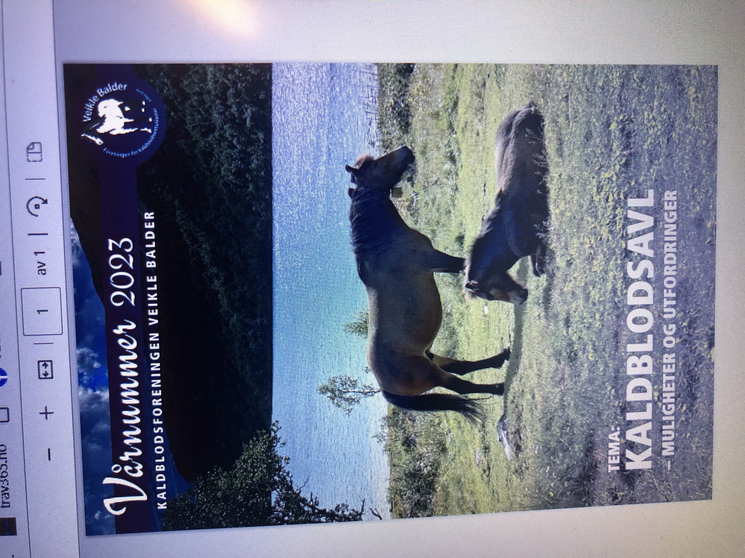 Veikle Balders Vårnummer 2023