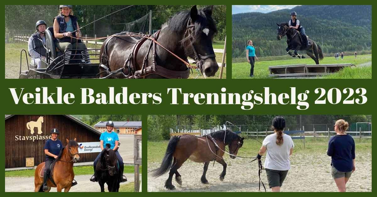 Påmelding åpnet for Veikle Balders Treningshelg 