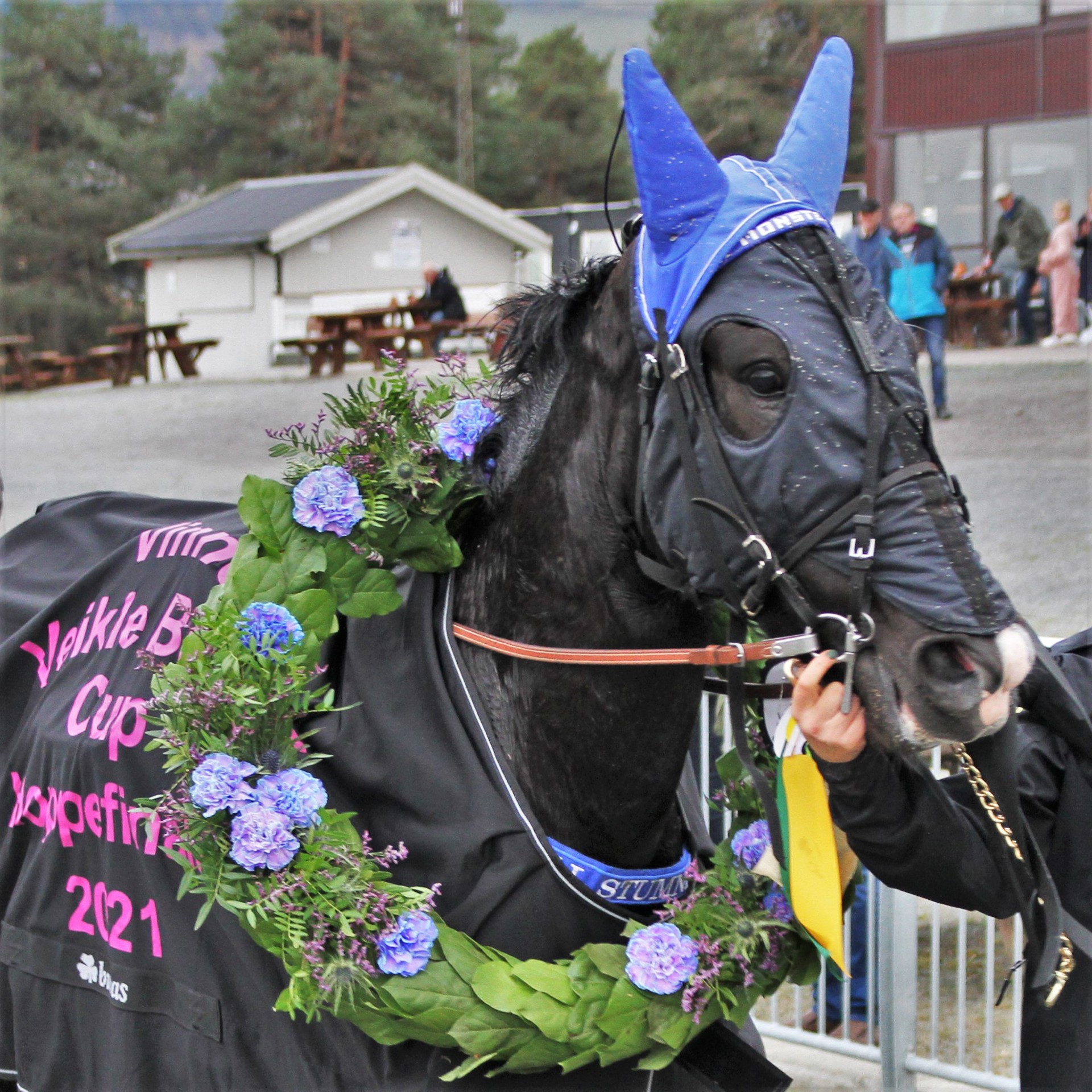 Nå starter Veikle Balder Cup 2023