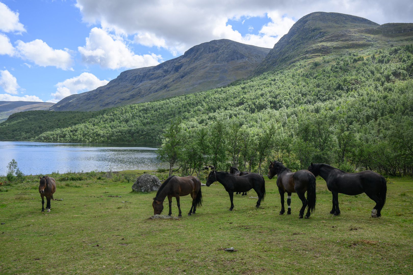 Sikkilsdalseminaret 2024