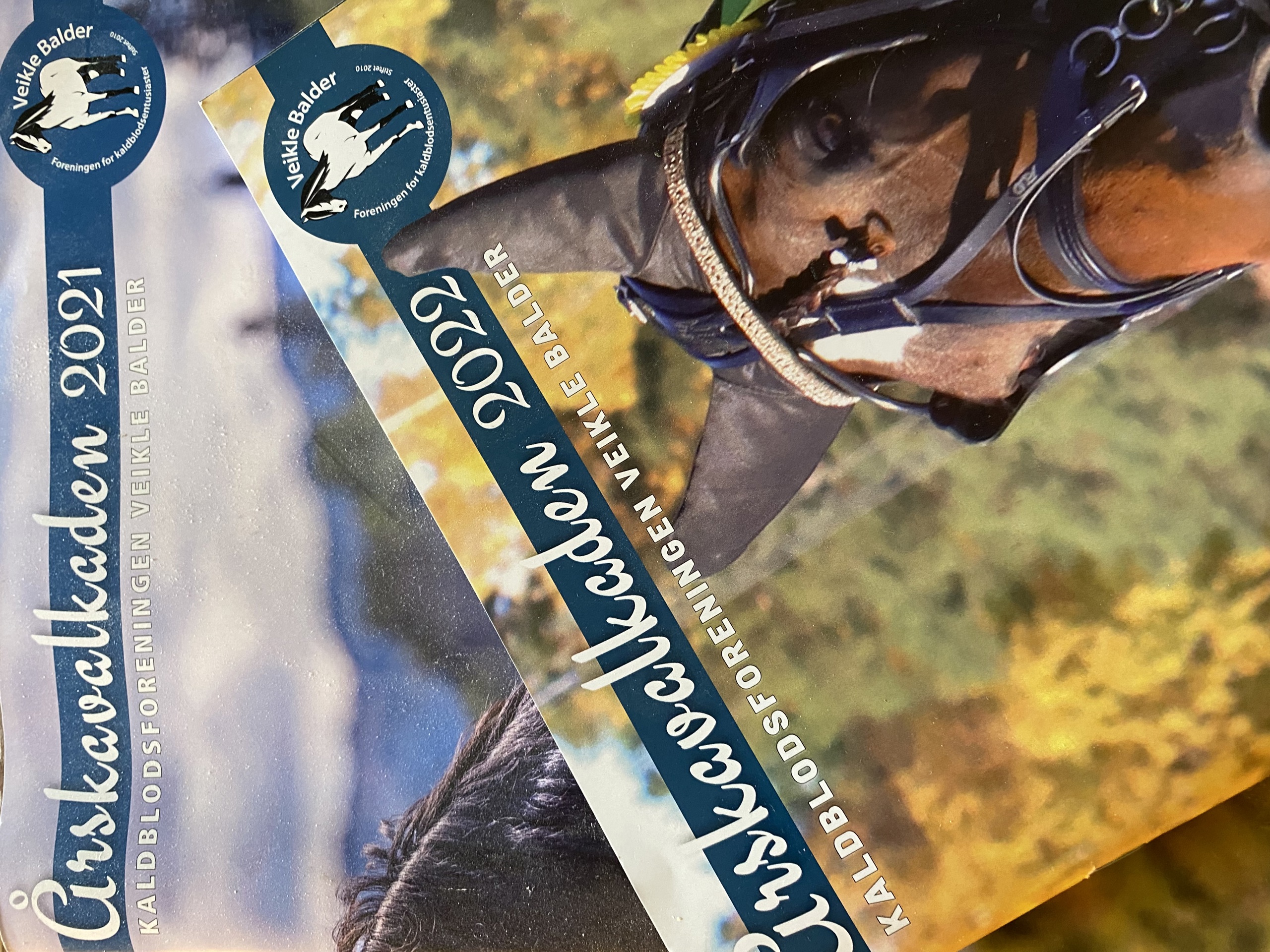 Bistand til annonsesalg