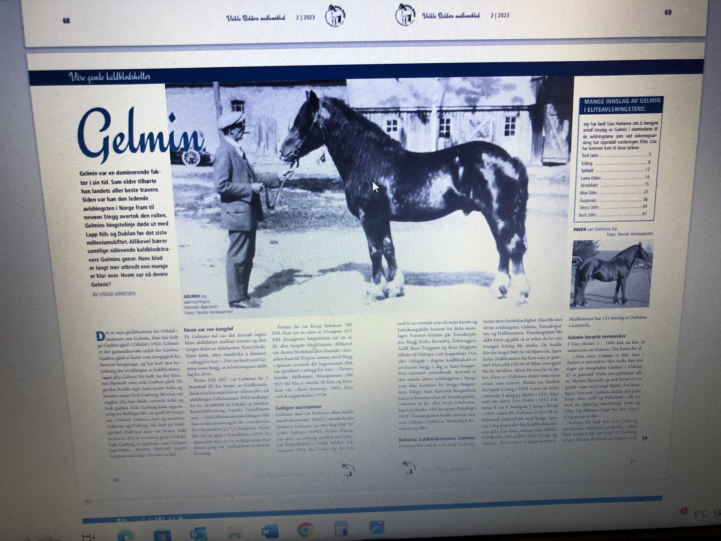 Veikle Balders Årskavalkade 2023