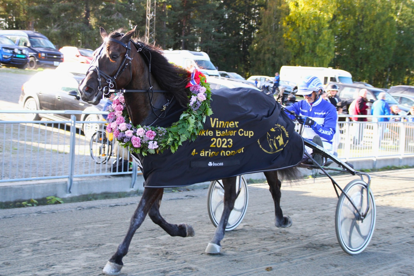 Veikle Balder Hoppecup 2024