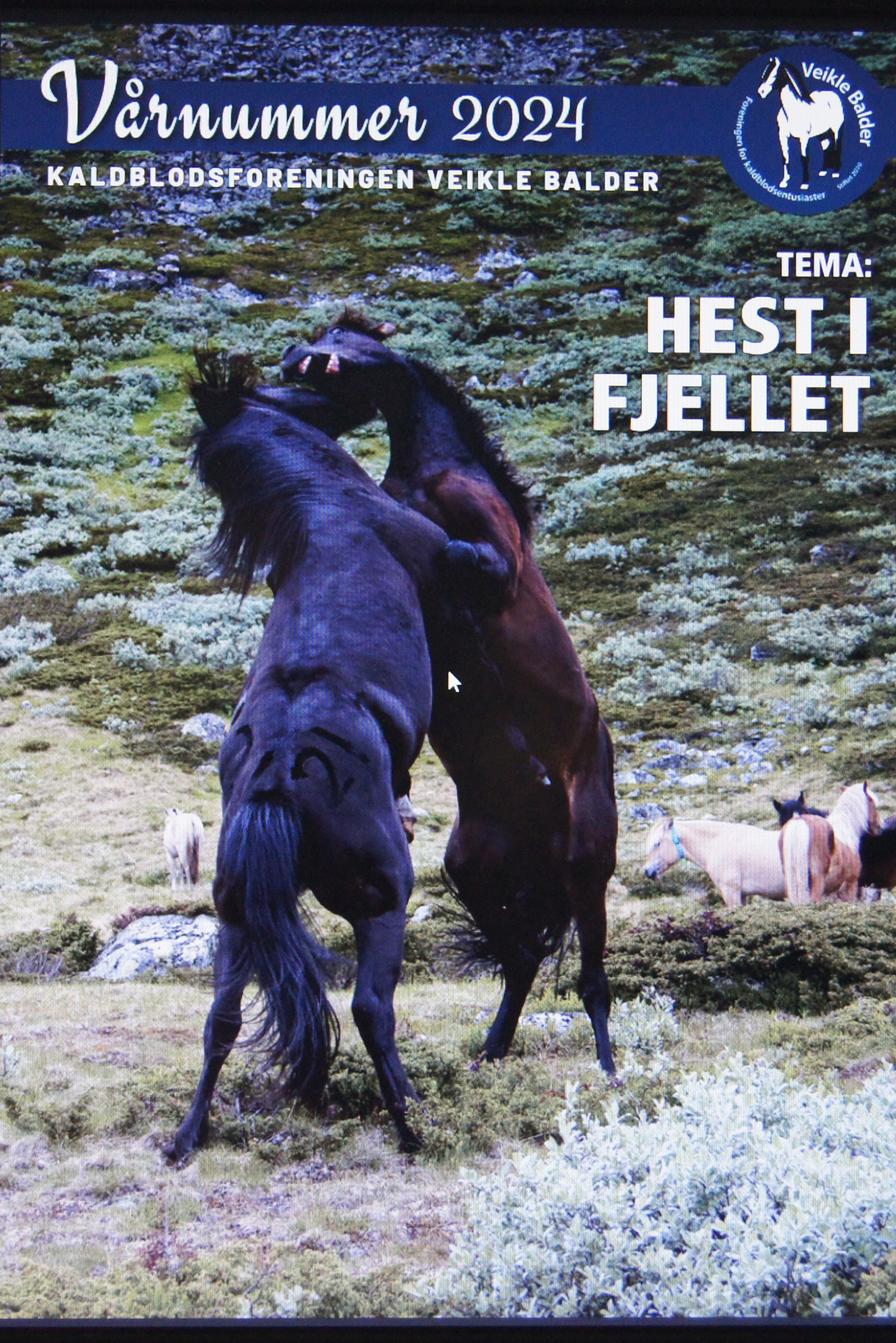 Veikle Balders Vårnummer 2024