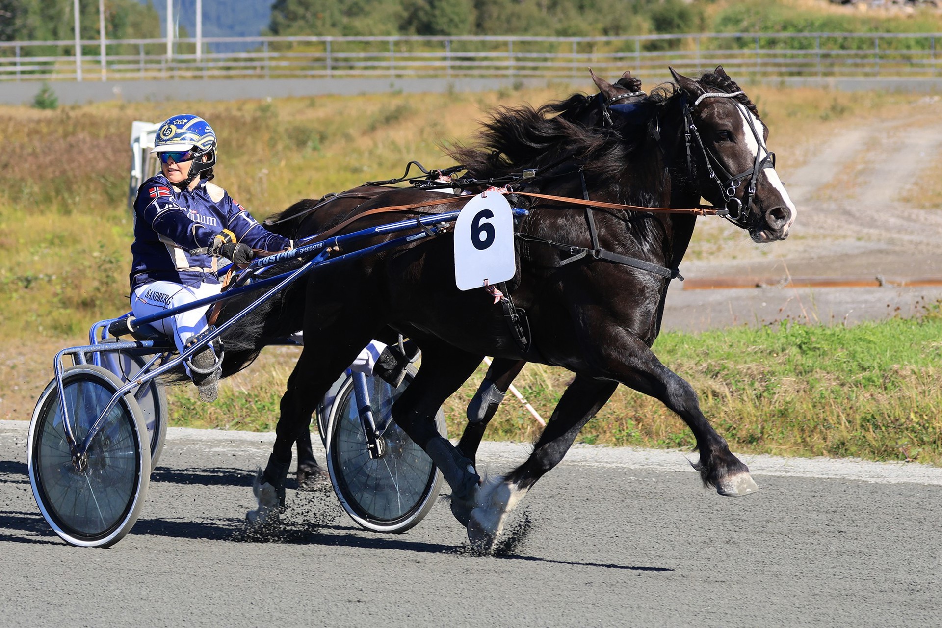 Veikle Balder UNG Amatør Travtrenercup 2024