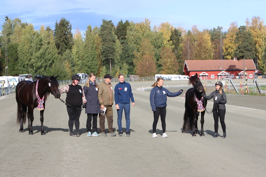 Utstillingskatalogen er klar