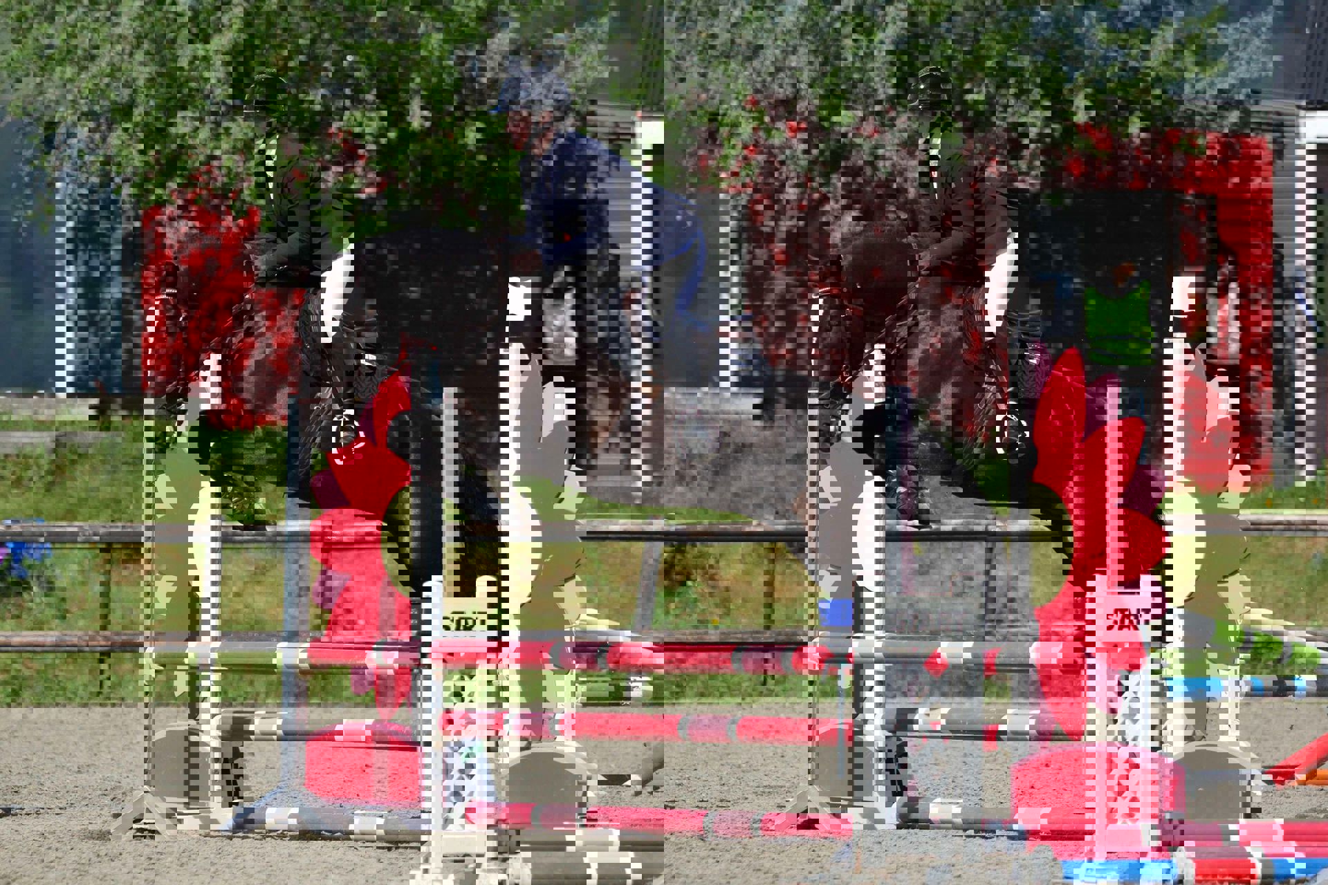 Veikle Balder Mesterskapet 2025 til Trøndelag