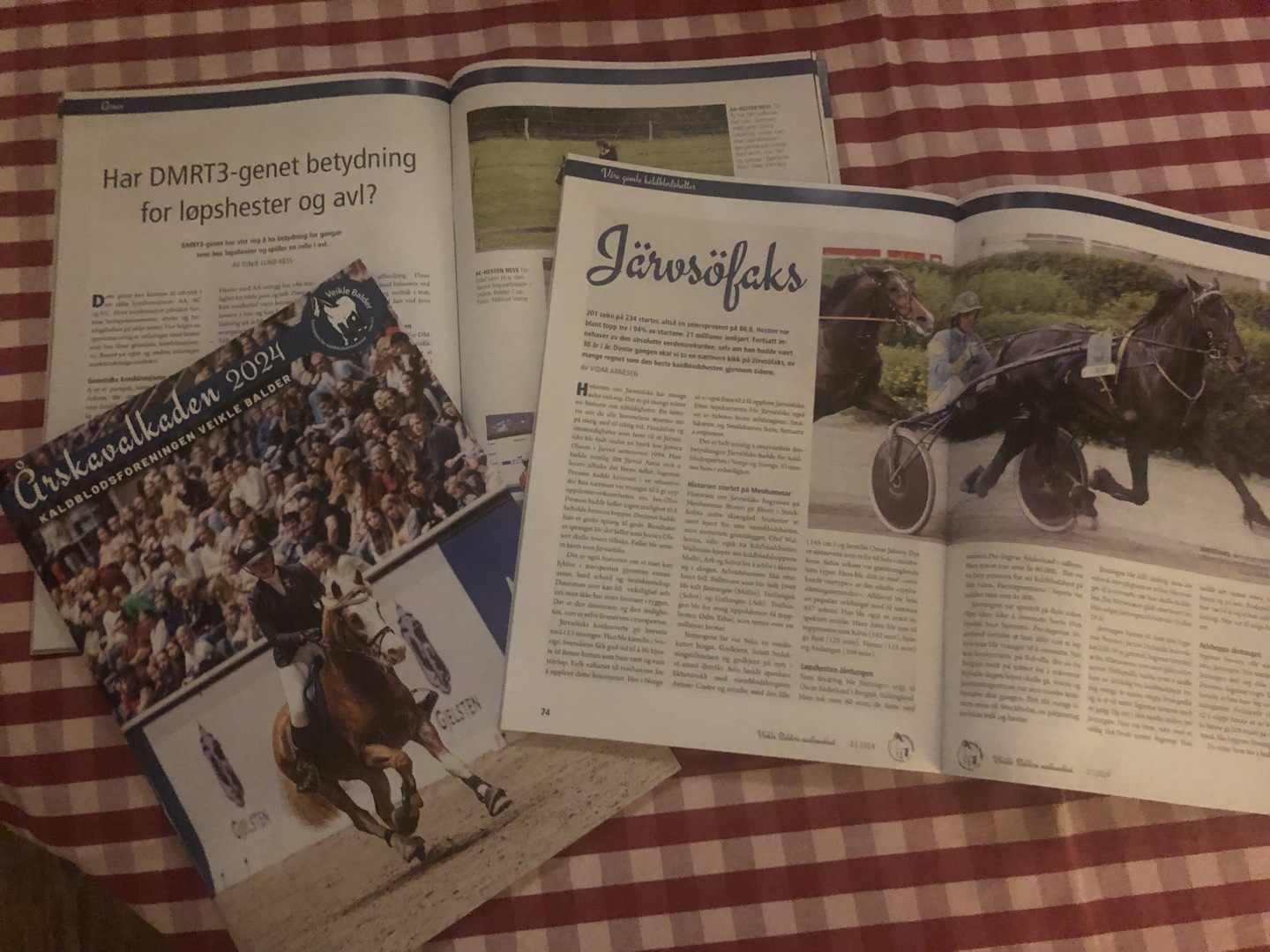 Årskavalkaden 2024 er ferdig trykt