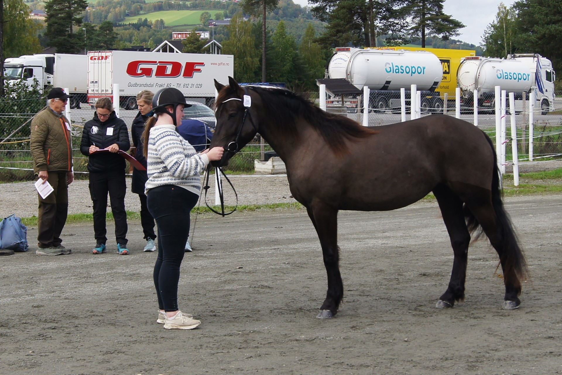 Hva ser en utstillingsdommer etter?