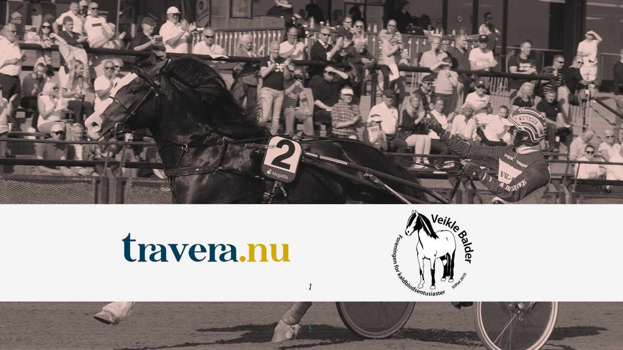 Ny kaldblodsauksjon 6. juli