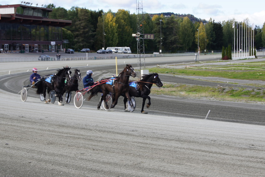 Her er utstillingskatalogen