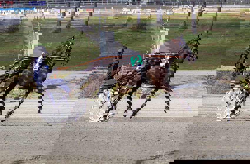 Feil i premieringen på Veikle Balders Landsfinale