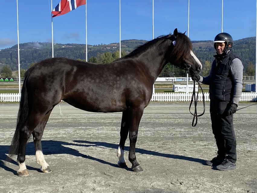 Veikle Balders Landsfinale 2025 ble en stor fest