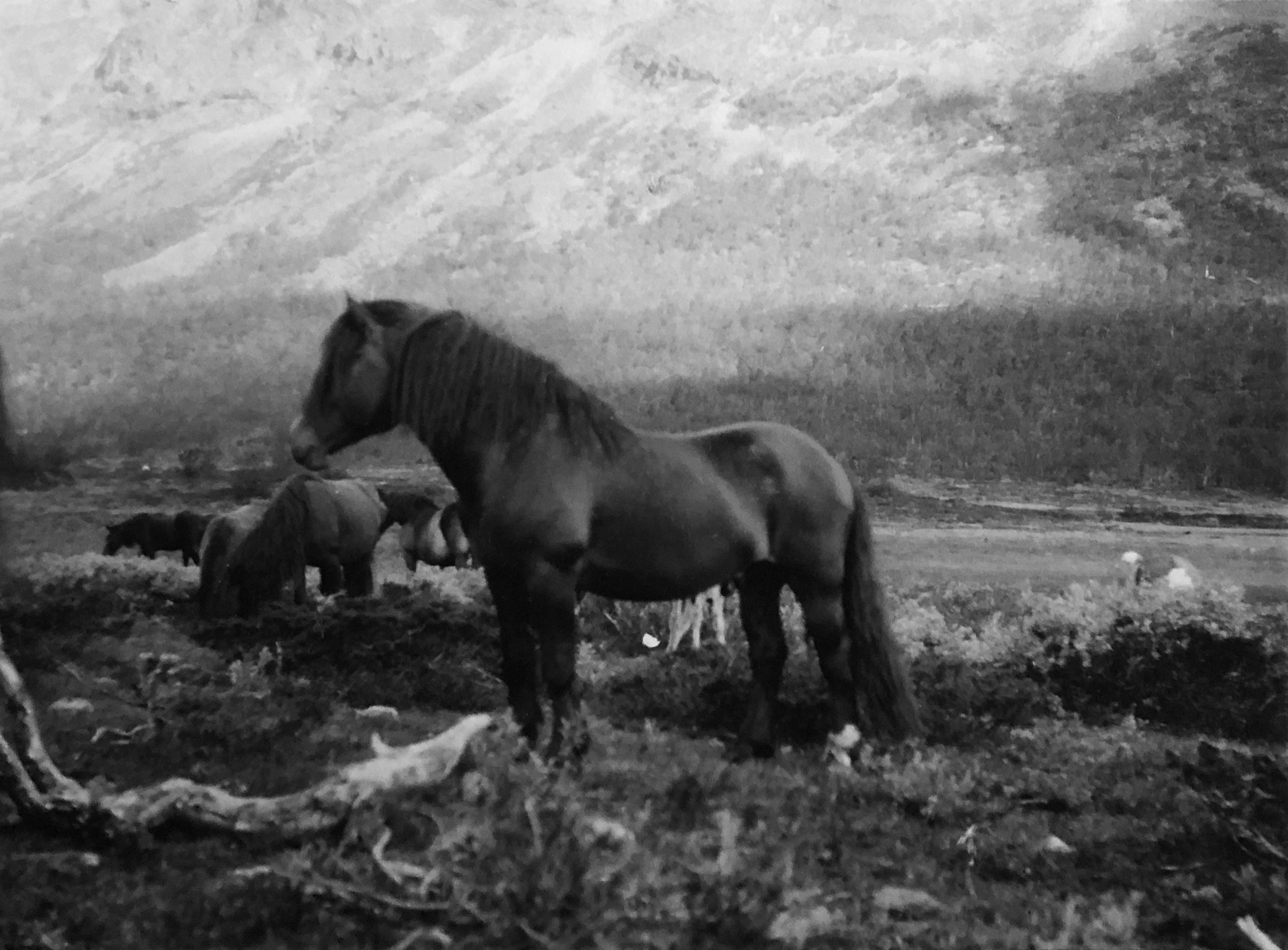 Sikkilsdalseminaret gjennomføres som planlagt