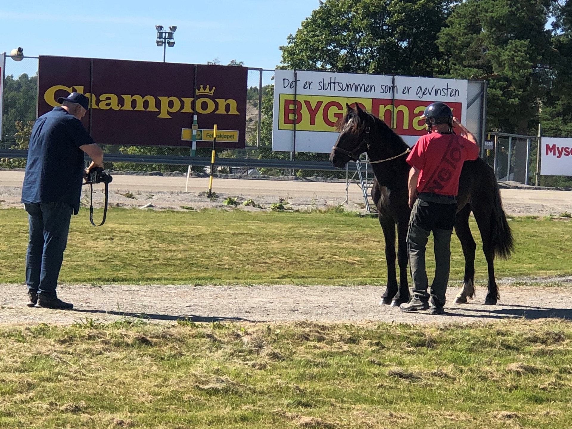 Filming og fotografering av auksjonshester