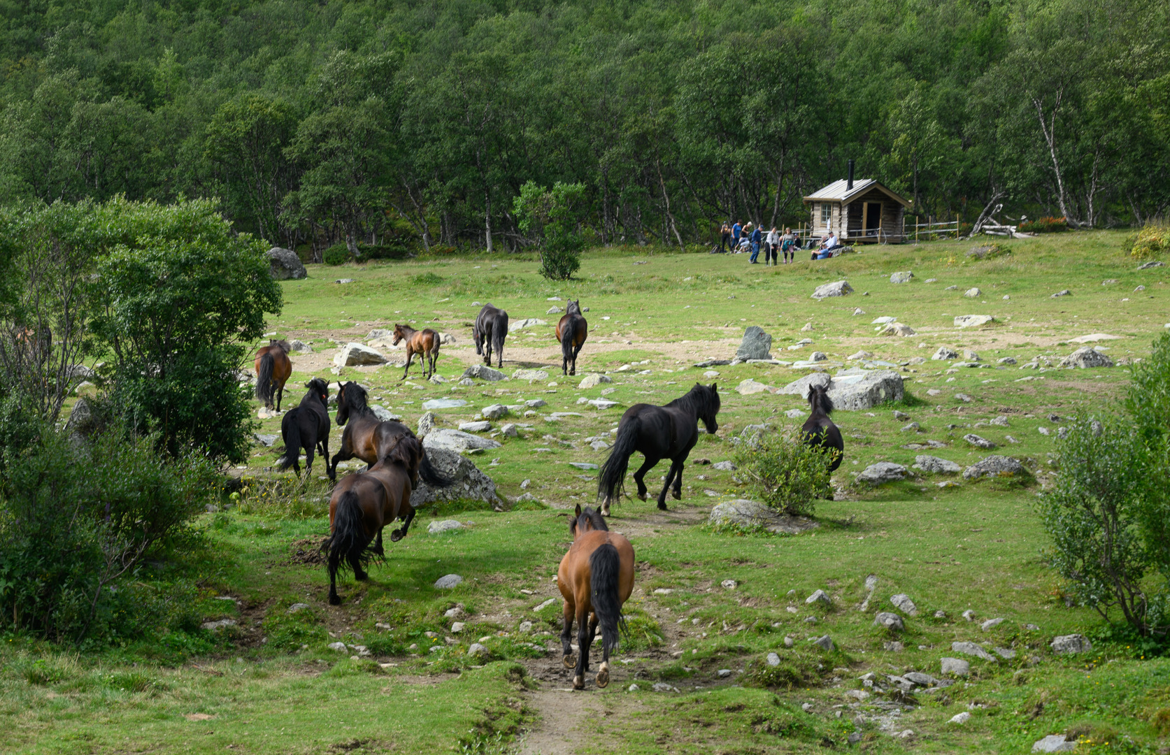 Det er fortsatt noen ledige rom i Sikkilsdalen 