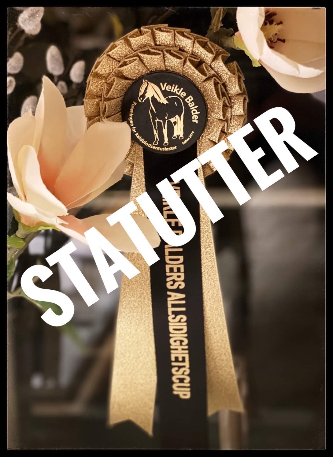 Påmelding åpnet for årets Allsidighetscup!