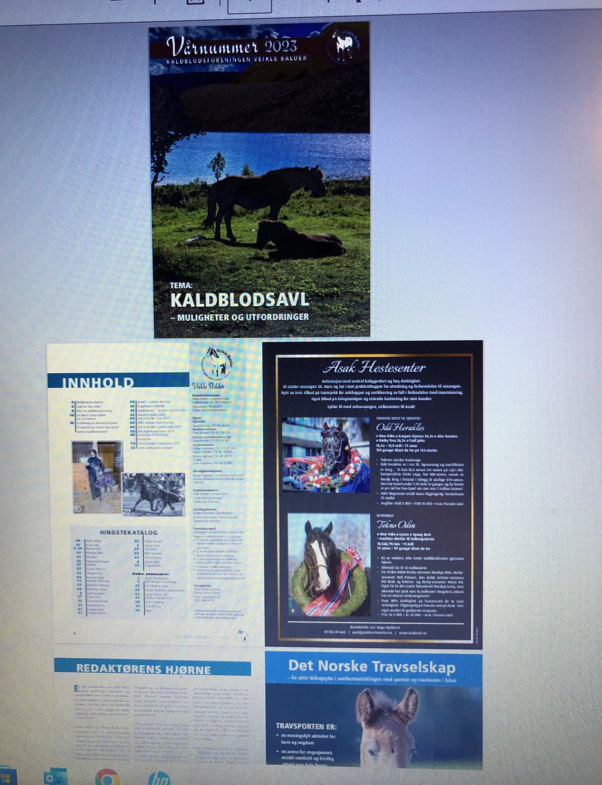 Veikle Balders Vårnummer 2023 er ferdig redigert