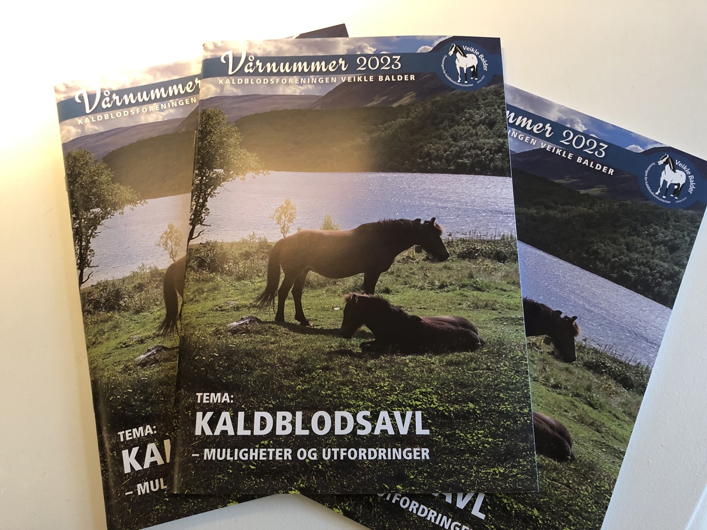 Restopplaget har ankommet