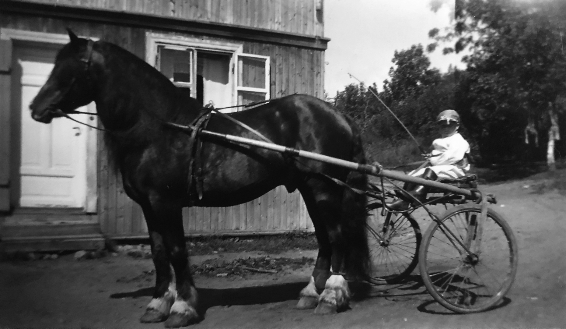 Veikle Balder UNG Amatørtrener Cup 