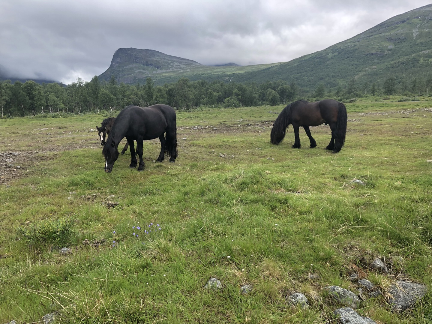 Programmet for Sikkilsdalseminaret 2023