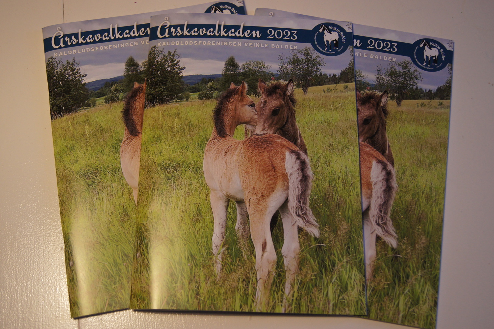Veikle Balders Årskavalkade 2023 er postlagt