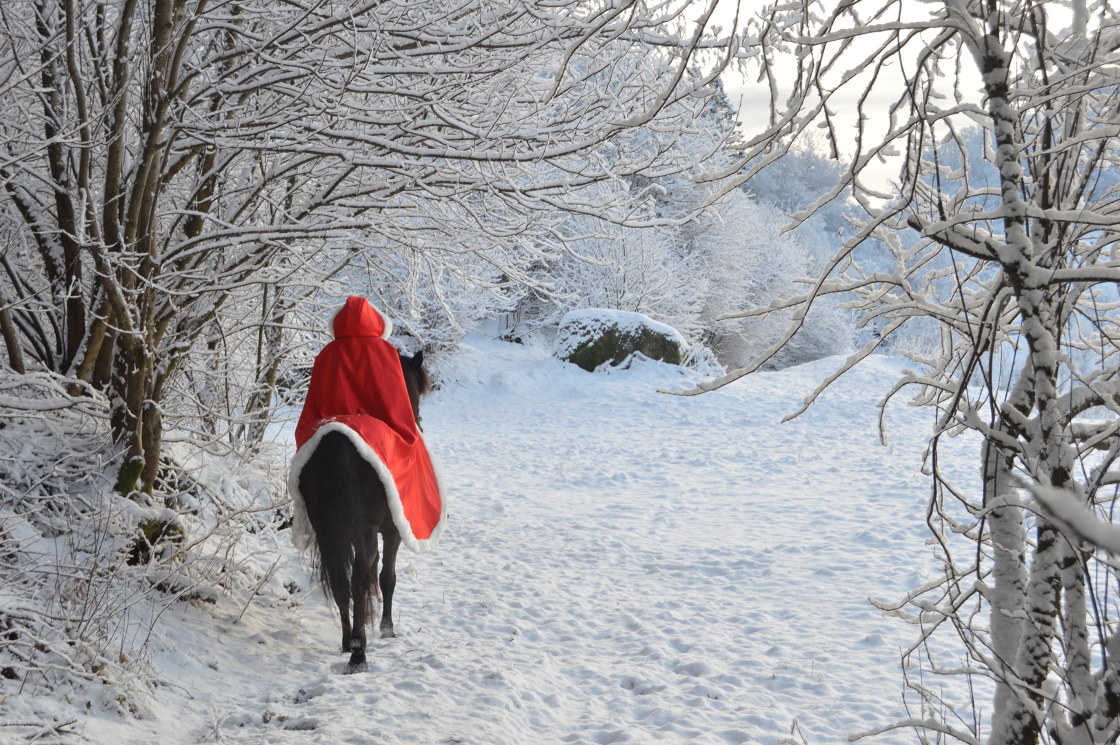 God jul til alle medlemmer og samarbeidspartnere!
