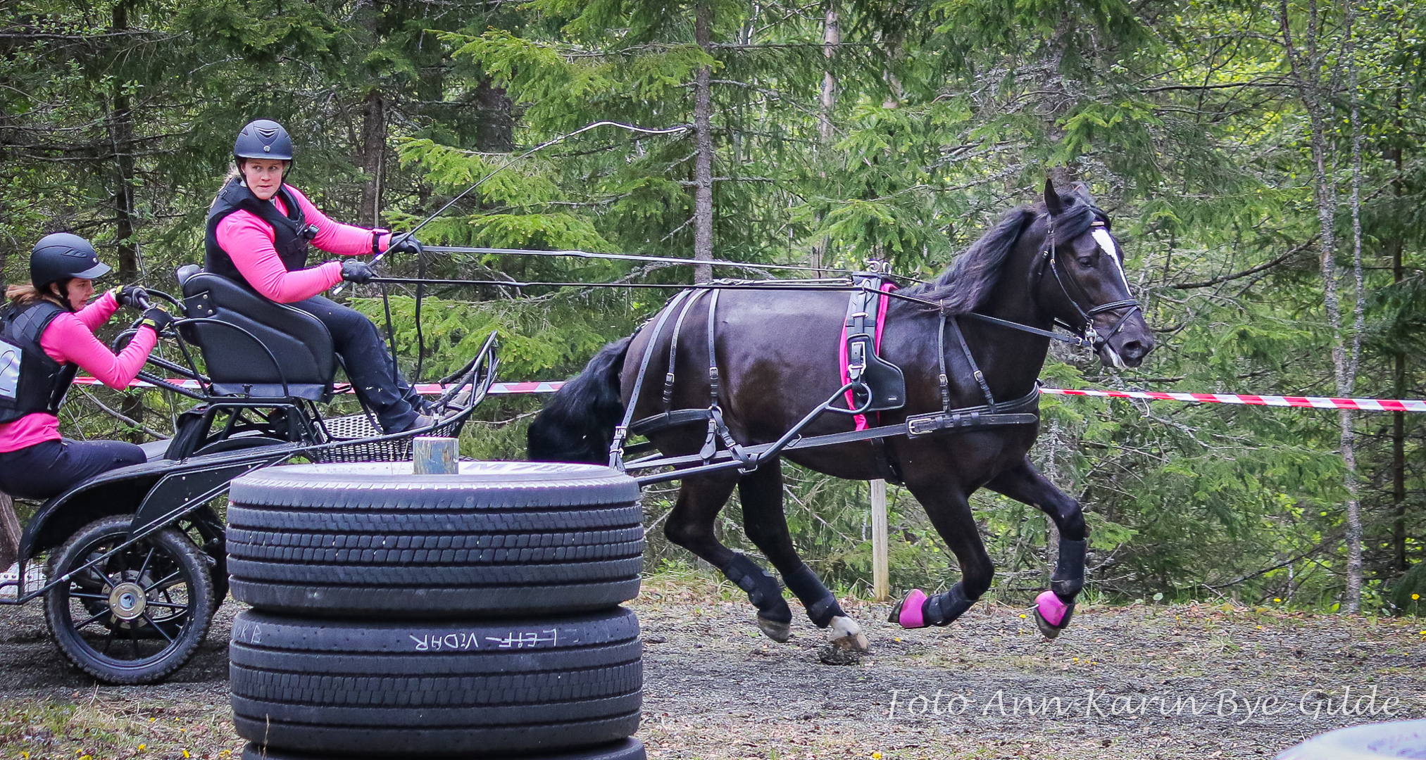 Veikle Balders Allsidighetscup 2024