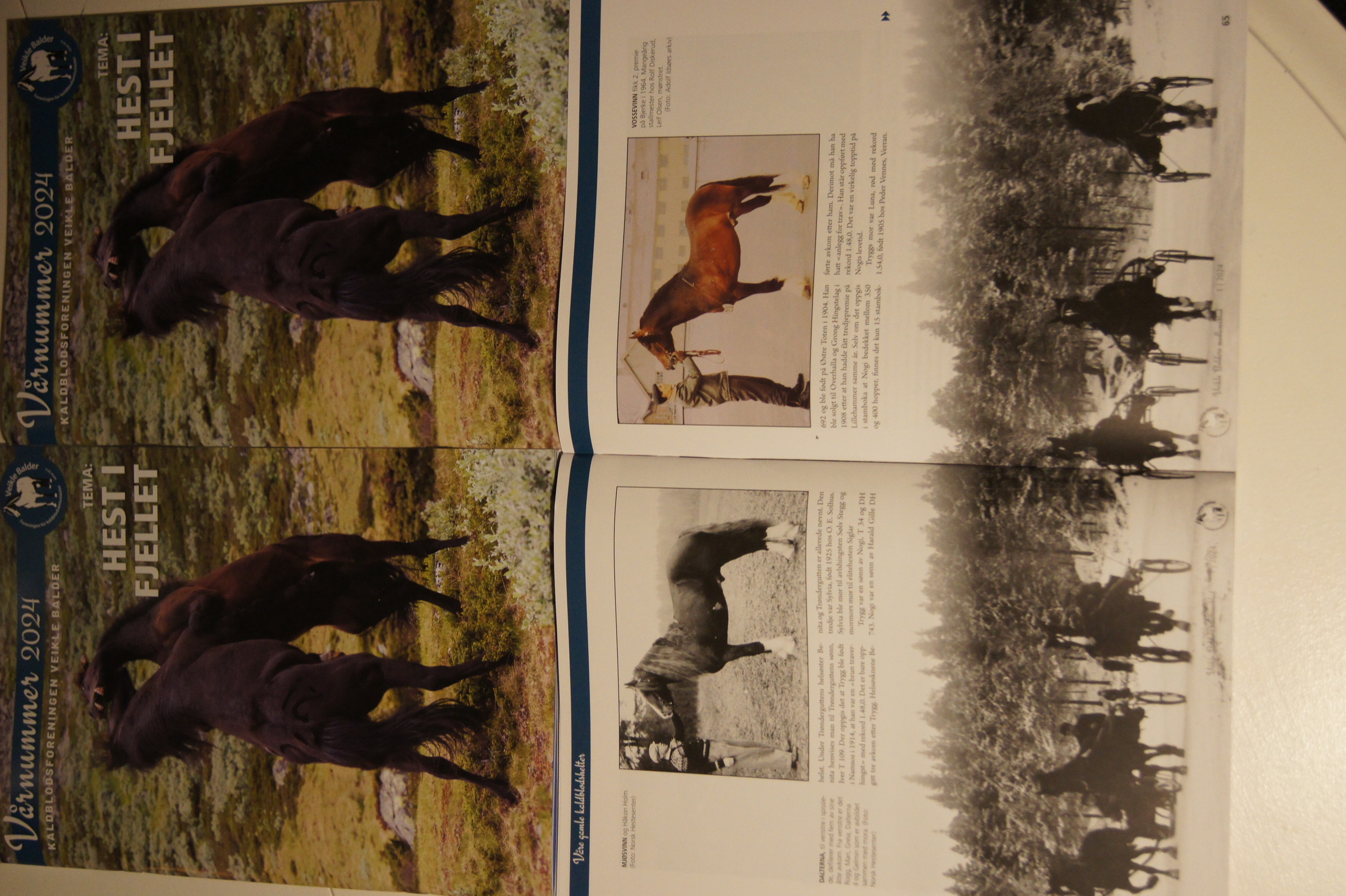 Veikle Balders Vårnummer 2024 har blitt postlagt