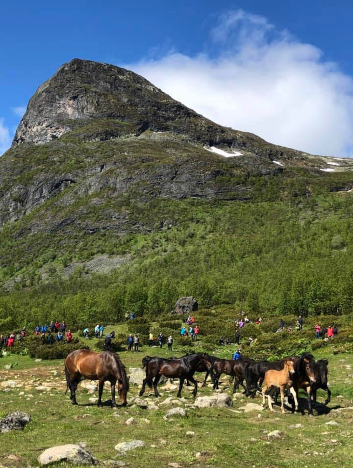 Artikkelbilde til artikkelen Slipp og seminar i Sikkilsdalen