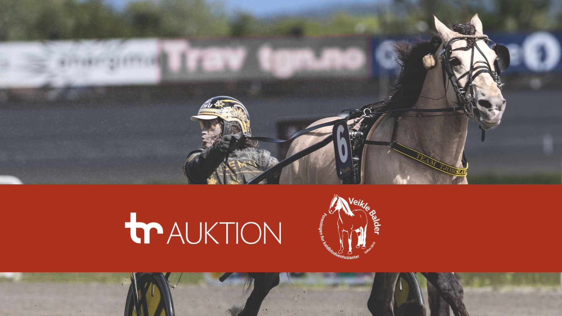 TR Auktion lanserer ny kaldblodsauksjon