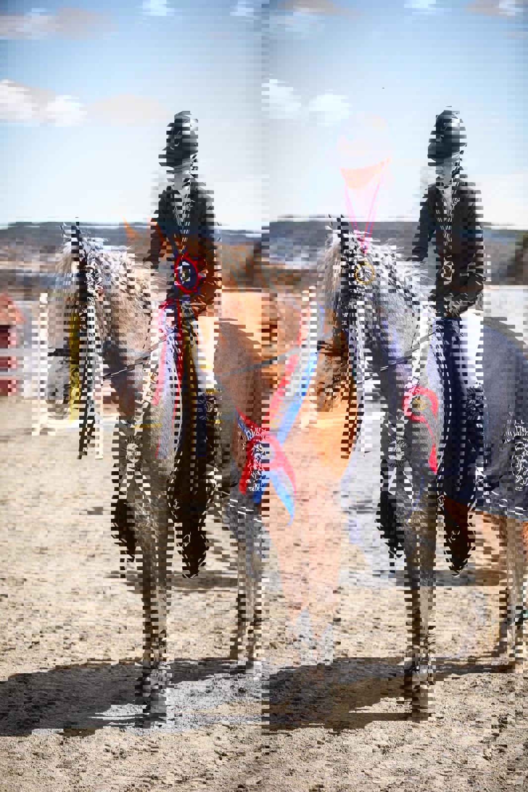 Årets allsidige kaldblodstraver 2024 er kåret!