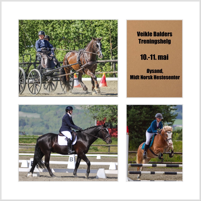 Treningshelg for kaldblodstraveren