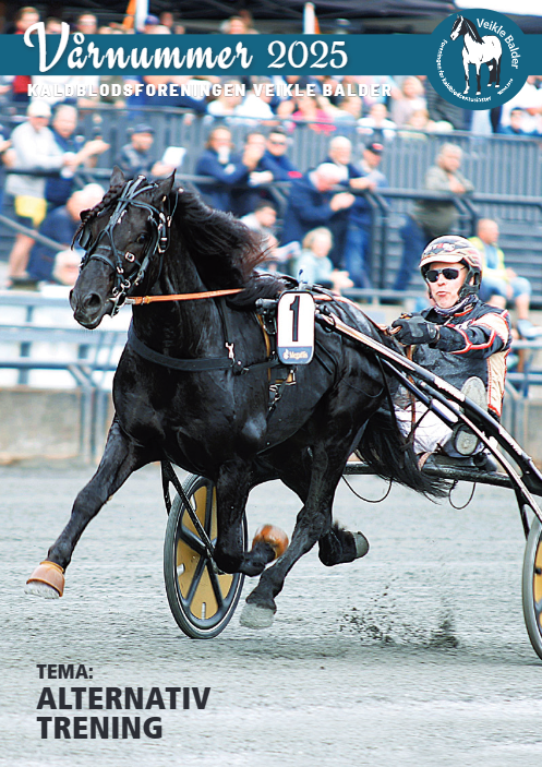 Siste korrektur av Vårnummeret 2025 pågår nå