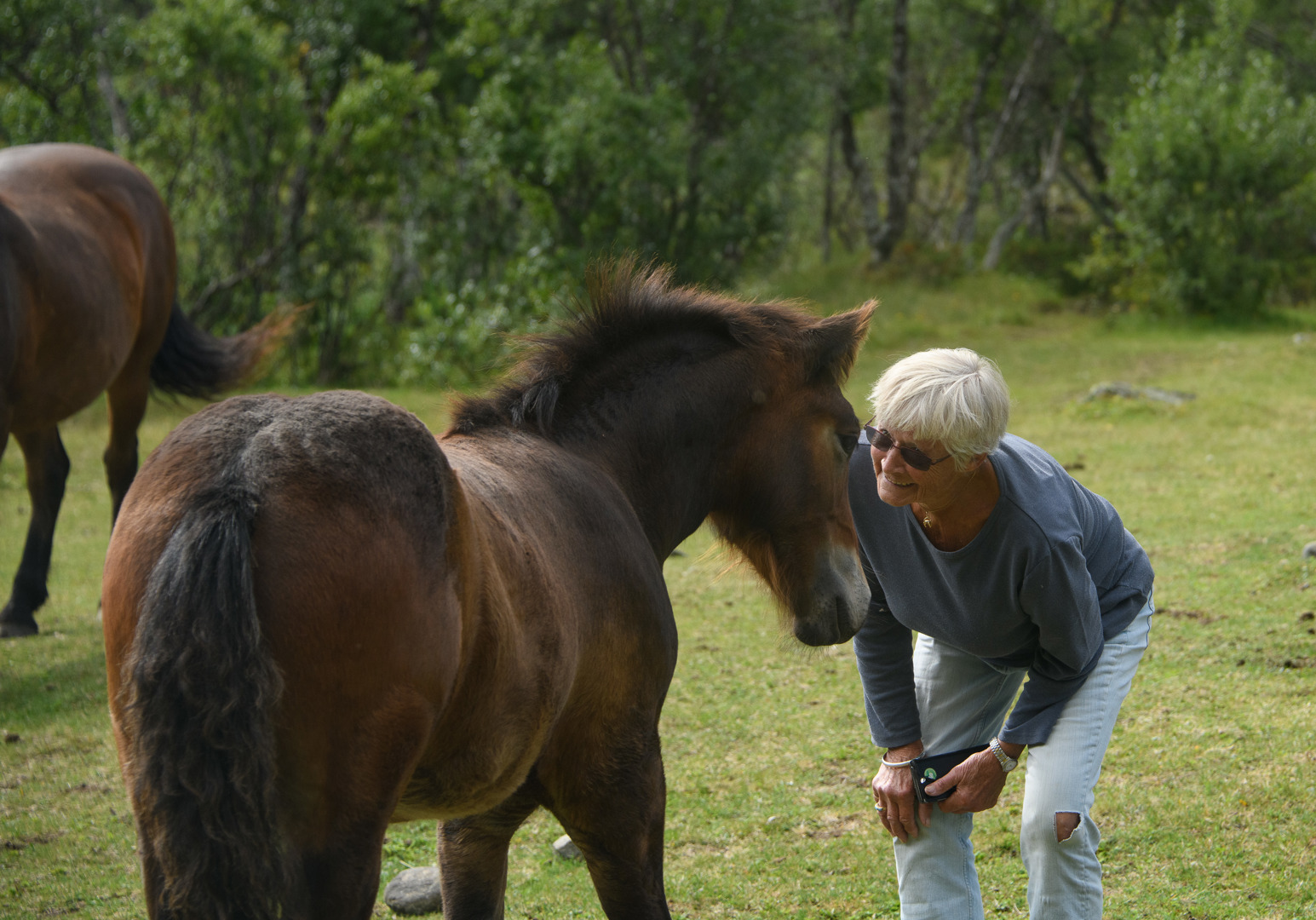Støtt opp om kulturhistorien i Sikkilsdalen!