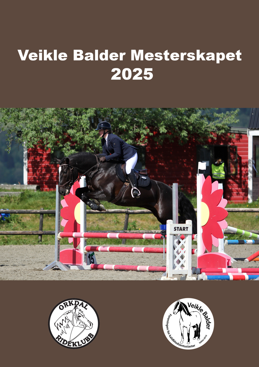 Statutter og påmelding til VBM 2025 