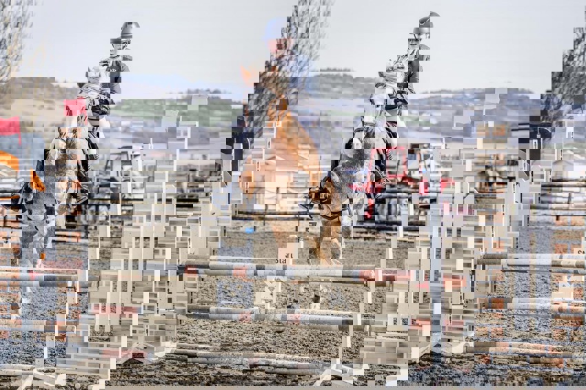 Halvårsresultat Veikle Balder Allsidighetscup 2025