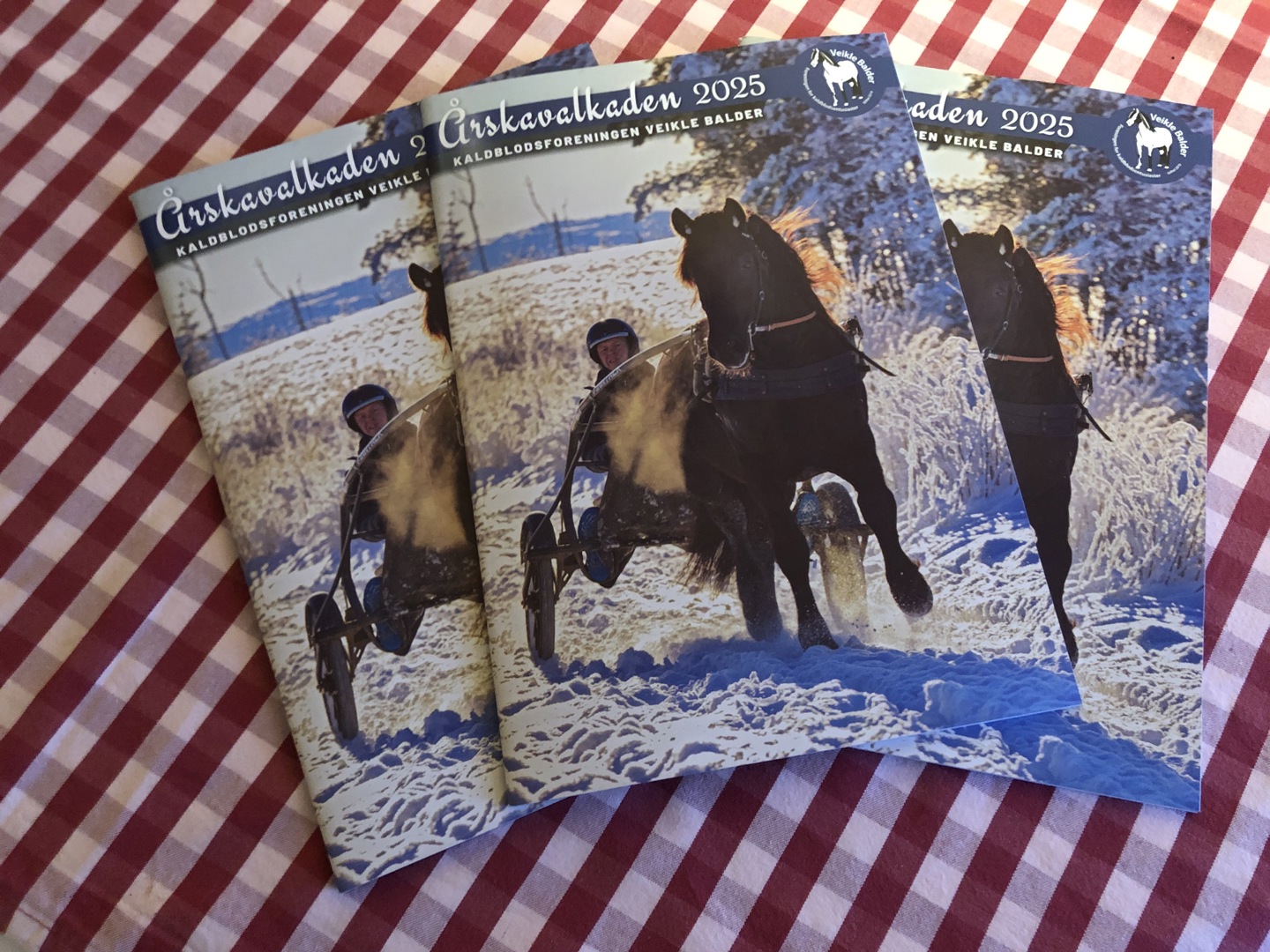 Mange medlemsblader kommer i retur