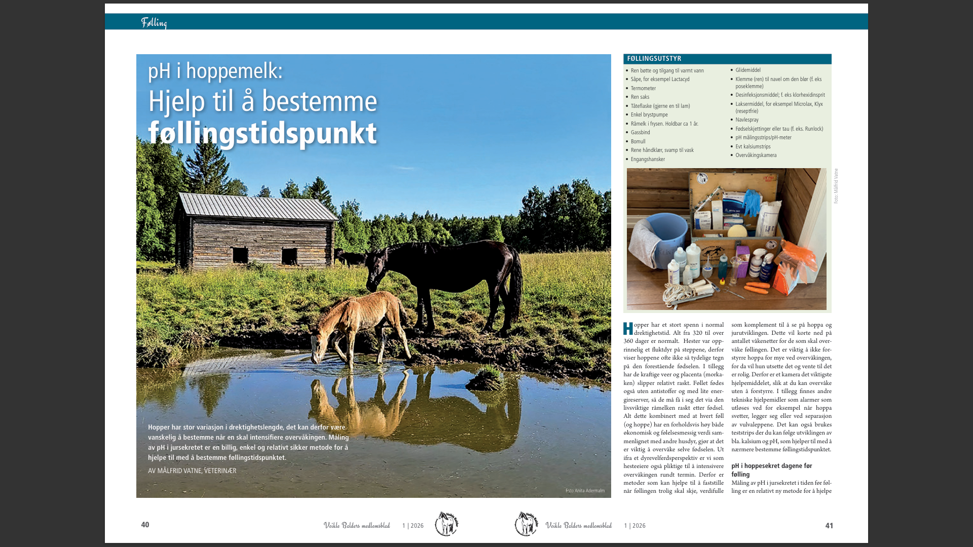 Artikkelbilde til artikkelen Veikle Balders Vårnummer er i trykken