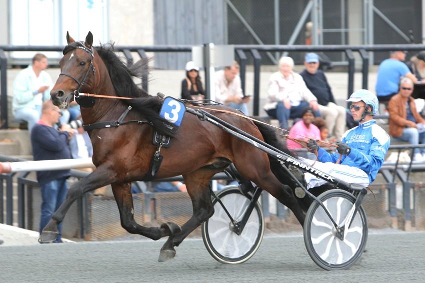Veikle Balders rabatthingster 2026
