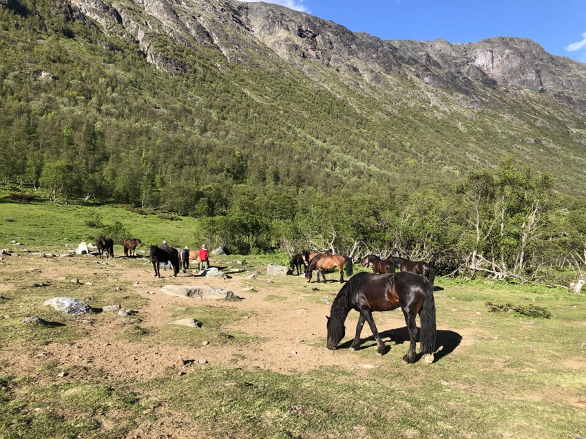 Velkommen til Sikkilsdalen!